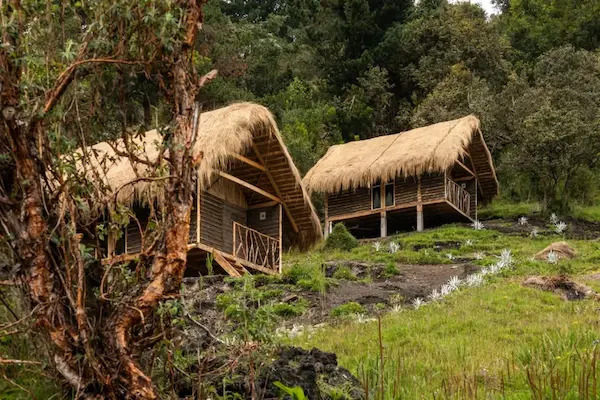Desde las faldas del volcán El Altar, en la provincia de Chimborazo, un proyecto de turismo comunitario nacido en la academia y construido junto a la comunidad alcanza hoy proyección internacional.