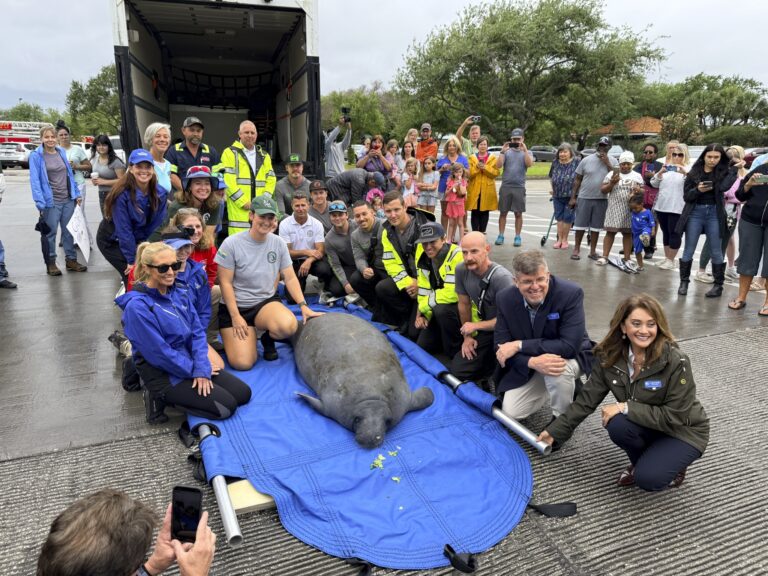 El nombre “Melby” fue dado por la comunidad y posteriormente adoptado por SeaWorld. | Foto: Cortesía.