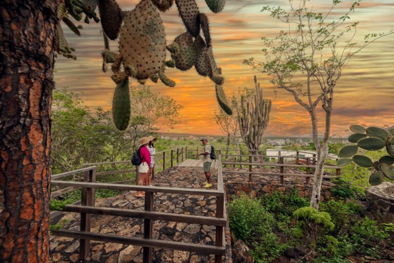 Ecuador fortalece su reactivación turística con crecimiento en ocupación hotelera durante Semana Santa Con un crecimiento del 3,6% en la ocupación hotelera respecto al año anterior, incluso cuando en 2025 el feriado tuvo una mayor duración. | Foto: Cortesía.