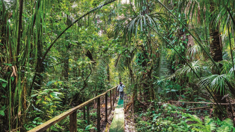 AmazonÃa ecuatoriana busca crecer como destino de naturaleza internacional