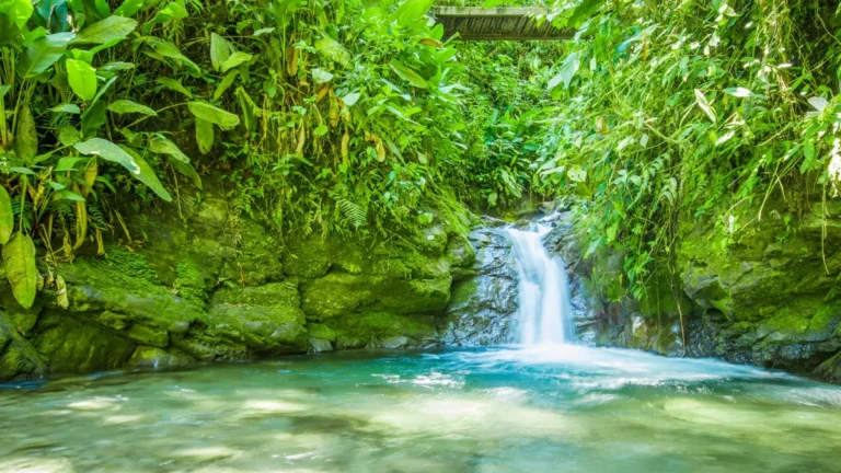 Chocó Andino posiciona a Ecuador en el mapa del turismo sostenible